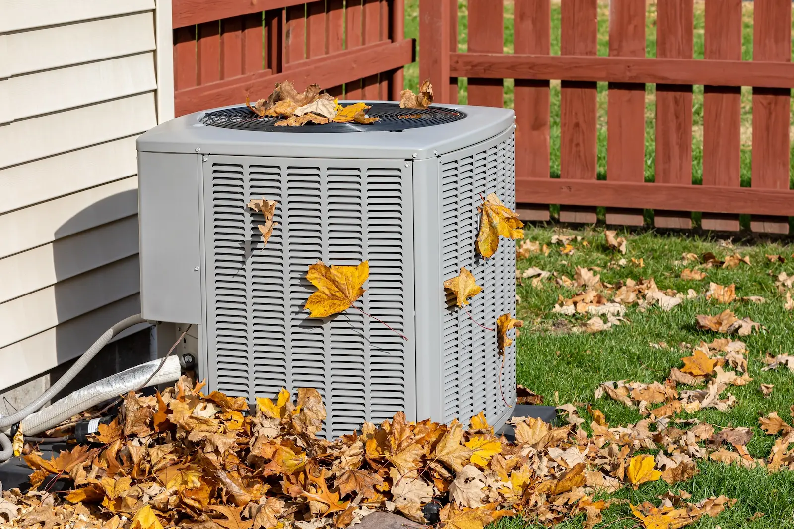 Heat pump surrounded by fallen leaves.